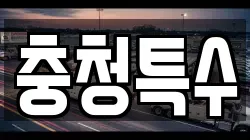 충청특수
