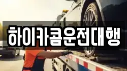 하이카콤운전대행
