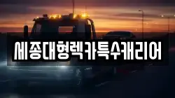 세종대형렉카특수캐리어