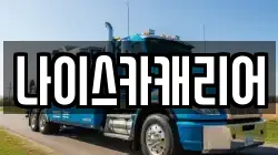 나이스카캐리어