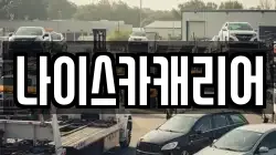 나이스카캐리어