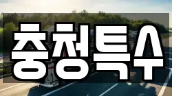 충청특수