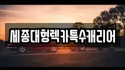 세종대형렉카특수캐리어