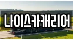 나이스카캐리어