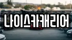나이스카캐리어