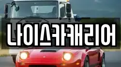 나이스카캐리어