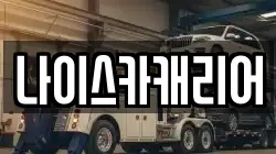 나이스카캐리어