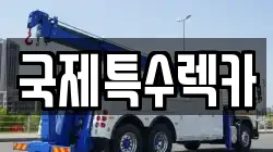 국제특수렉카