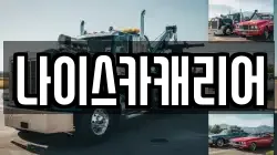 나이스카캐리어