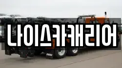 나이스카캐리어