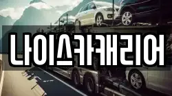 나이스카캐리어