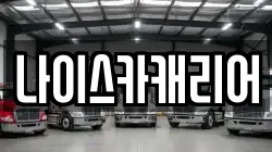 나이스카캐리어