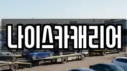 나이스카캐리어
