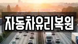 자동차유리복원