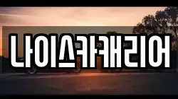 나이스카캐리어