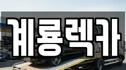 계룡렉카