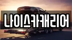 나이스카캐리어