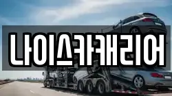 나이스카캐리어