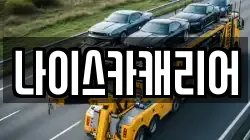 나이스카캐리어
