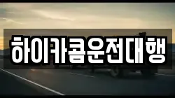 하이카콤운전대행
