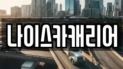 나이스카캐리어