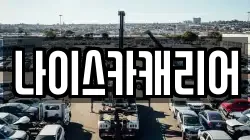 나이스카캐리어