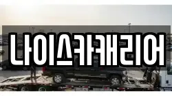 나이스카캐리어