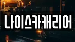 나이스카캐리어