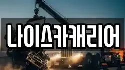 나이스카캐리어