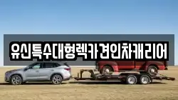 대전 중구 산성동 렉카, 특수렉카, 차량탁송, 견인운송