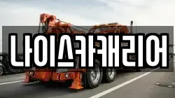 나이스카캐리어
