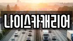나이스카캐리어