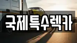 국제특수렉카