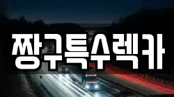 짱구특수렉카
