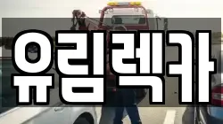 유림렉카