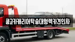 콩고카캐리어탁송대형렉카견인차