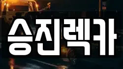 부산광역시 남구 대연동 렉카, 특수렉카, 차량탁송, 견인운송