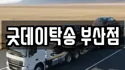 굿데이탁송 부산점