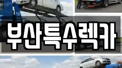 부산광역시 북구 렉카, 특수렉카, 차량탁송, 견인운송