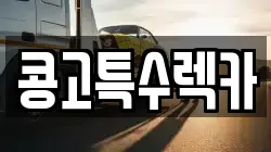 부산광역시 사하구 장림동 렉카, 특수렉카, 차량탁송, 견인운송