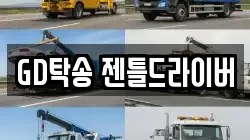 GD탁송 젠틀드라이버