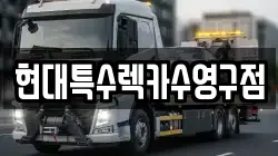 부산광역시 수영구 렉카, 특수렉카, 차량탁송, 견인운송