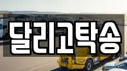 달리고탁송