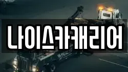 나이스카캐리어