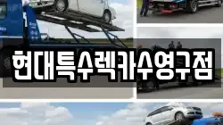 현대특수렉카수영구점