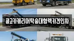 콩고카캐리어탁송대형렉카견인차