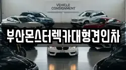 부산몬스터렉카대형견인차