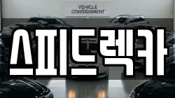 부산 강서구 송정동 렉카, 특수렉카, 차량탁송, 견인운송