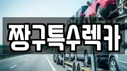 짱구특수렉카