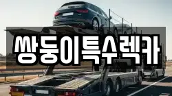 쌍둥이특수렉카